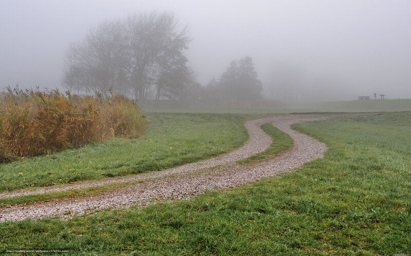 Foggy path through a field