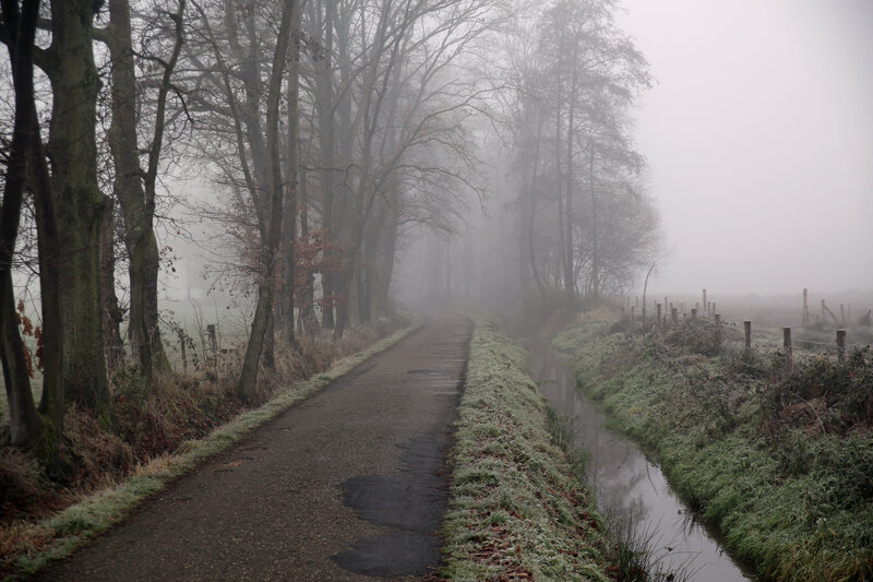 Foggy Path with Canal