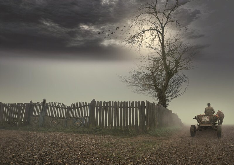 Foggy path with cart and tree