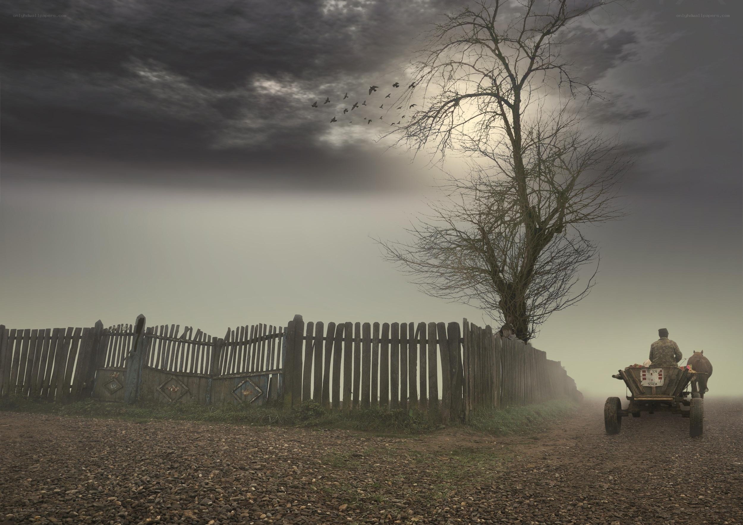 Foggy path with cart and tree