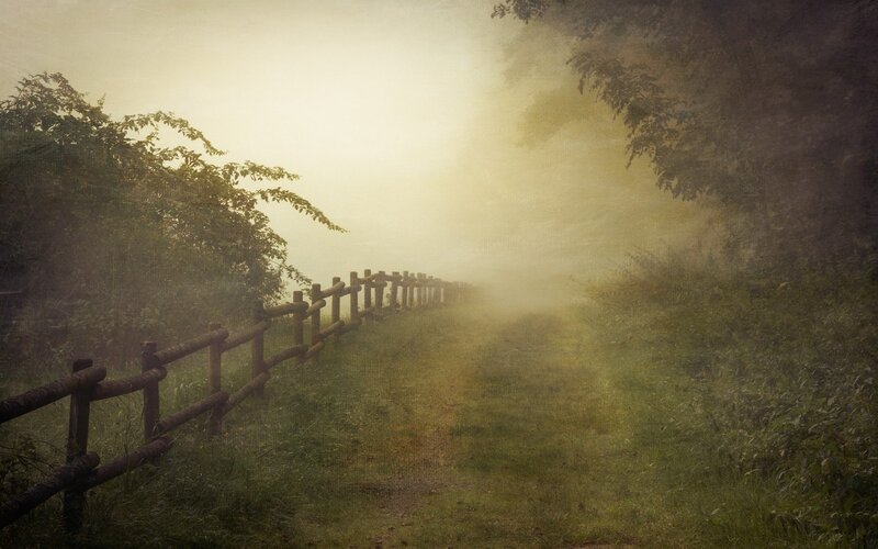 Foggy Path with Fence — Green