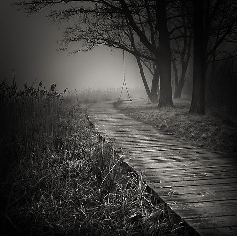 Foggy path with swing
