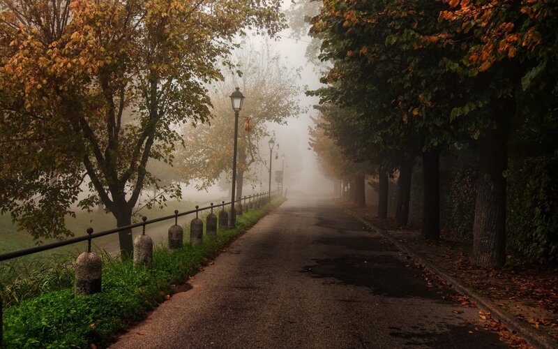 Foggy Path with Trees — Green, Misty, Autumn