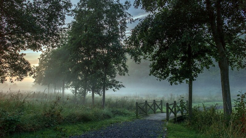 Foggy Path with Wooden Bridge