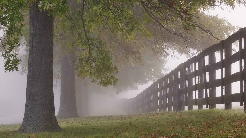 Foggy path with wooden fence
