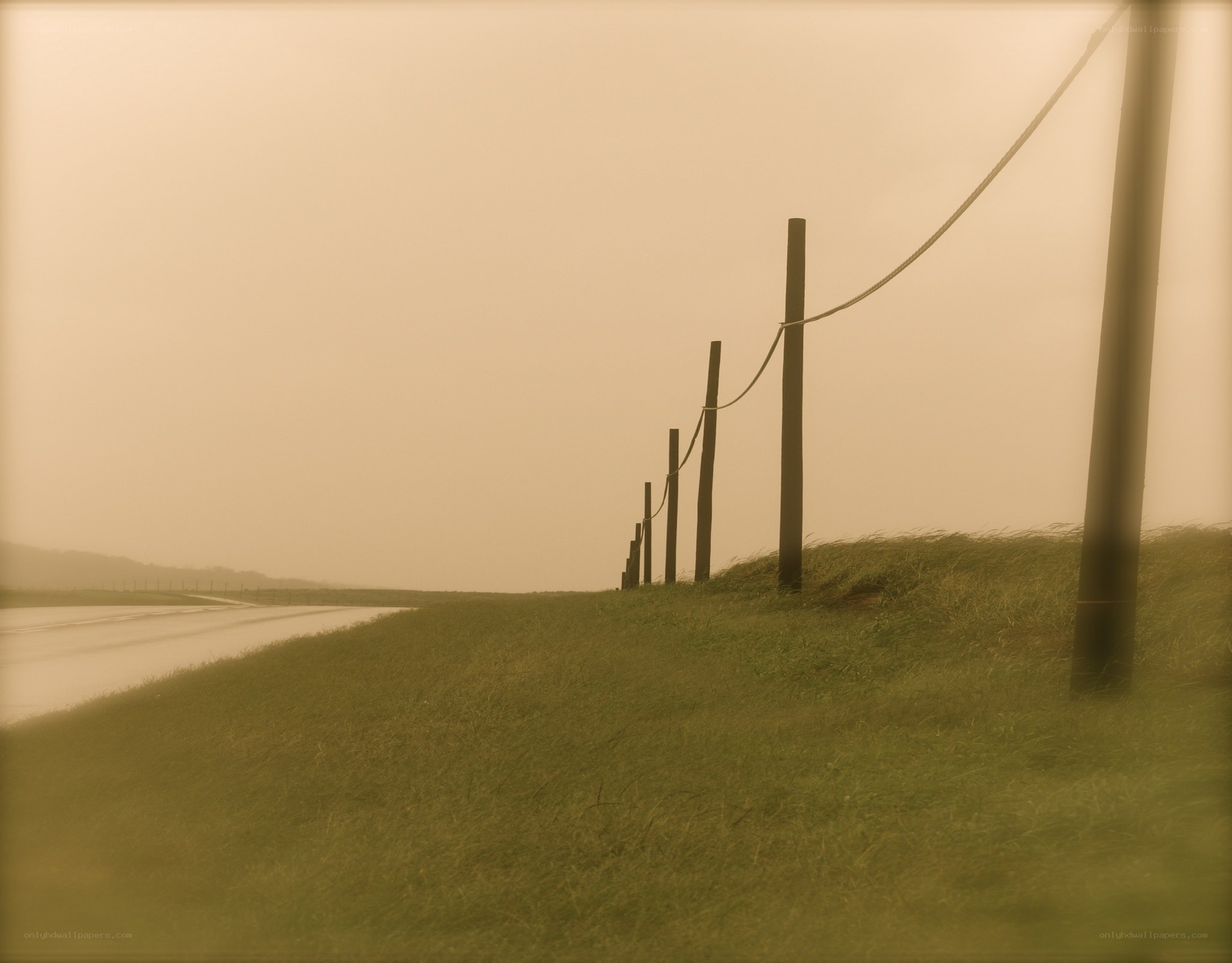 Foggy path with wooden posts