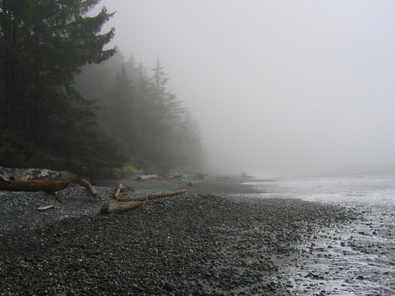 foggy pebble beach with driftwood