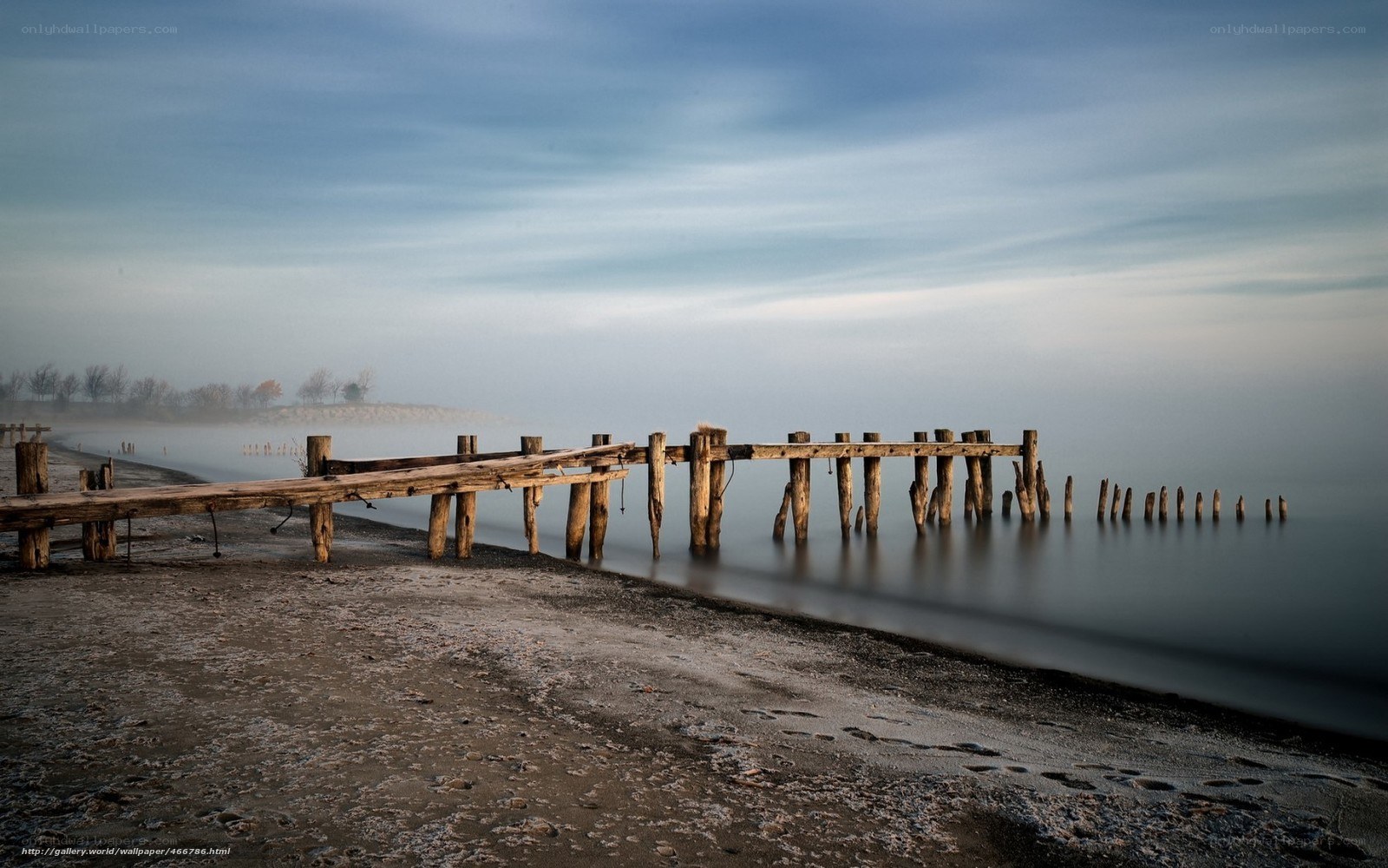 Foggy pier at dawn