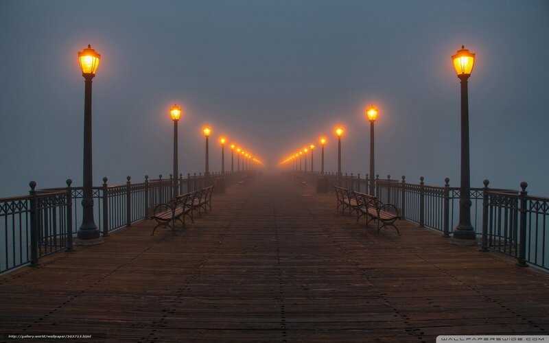 Foggy Pier at Dawn — Brown, Serene, Morning, Photograph