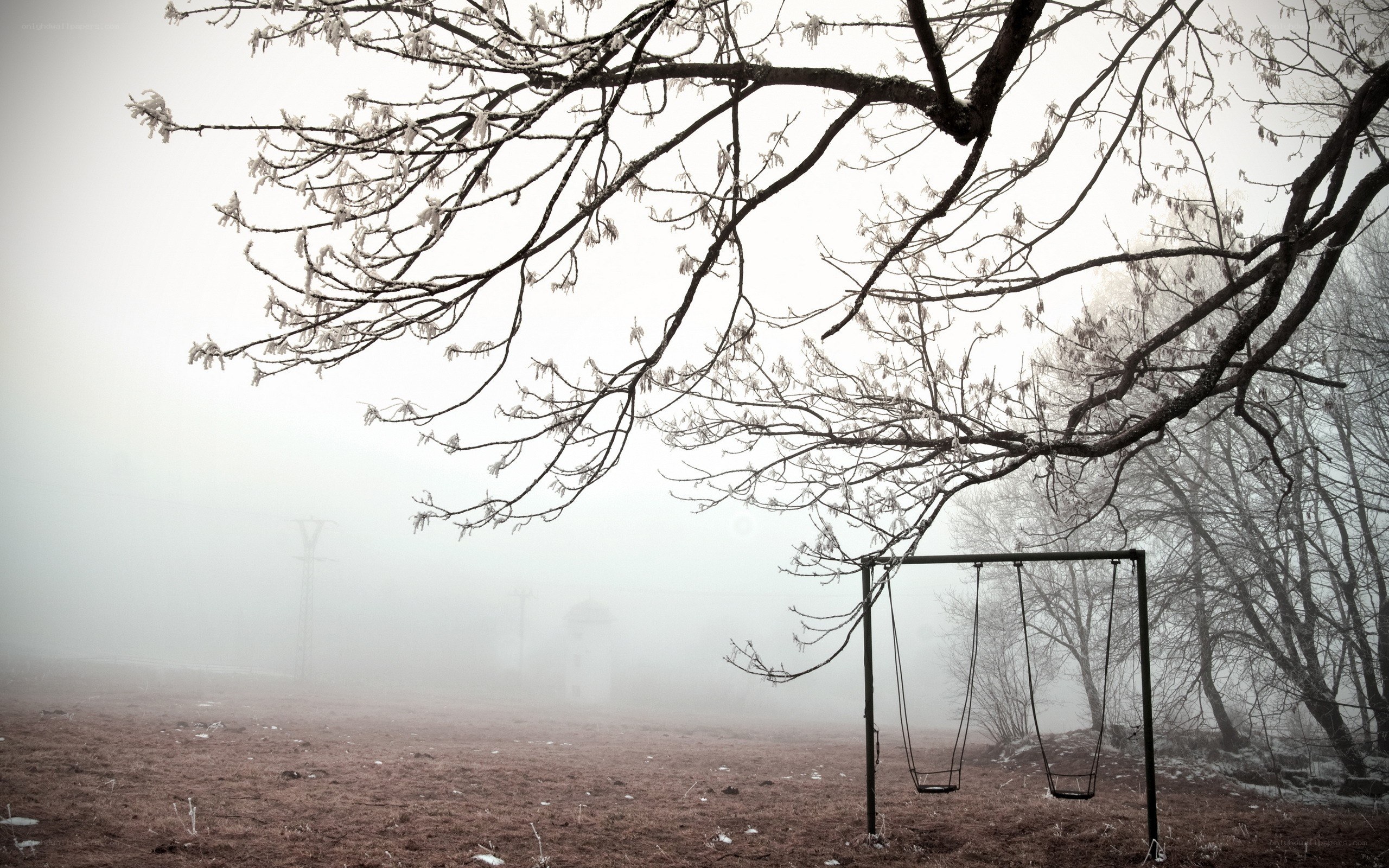 Foggy playground with swings