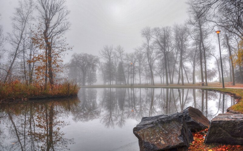 Foggy Pond in Park — Gray