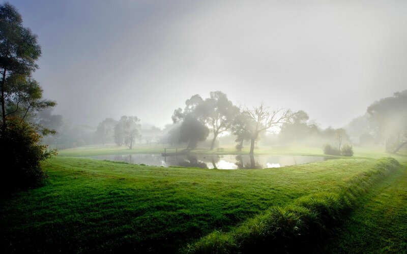 Foggy Pond in Park