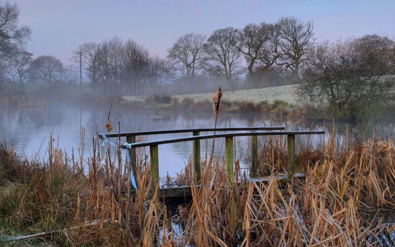 Foggy Pond with Bridge