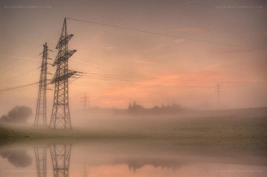 Foggy power lines at dawn