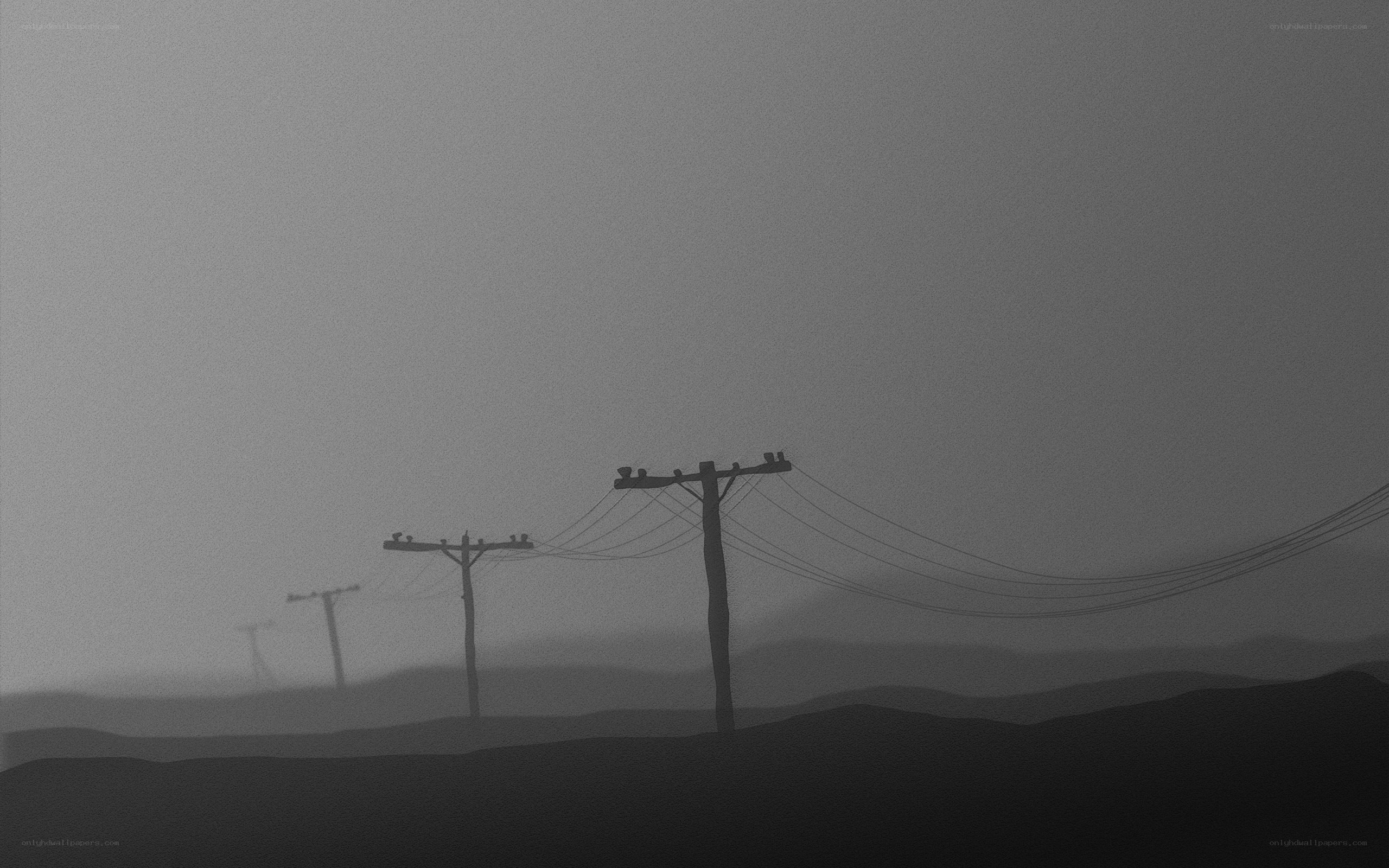 Foggy power lines landscape