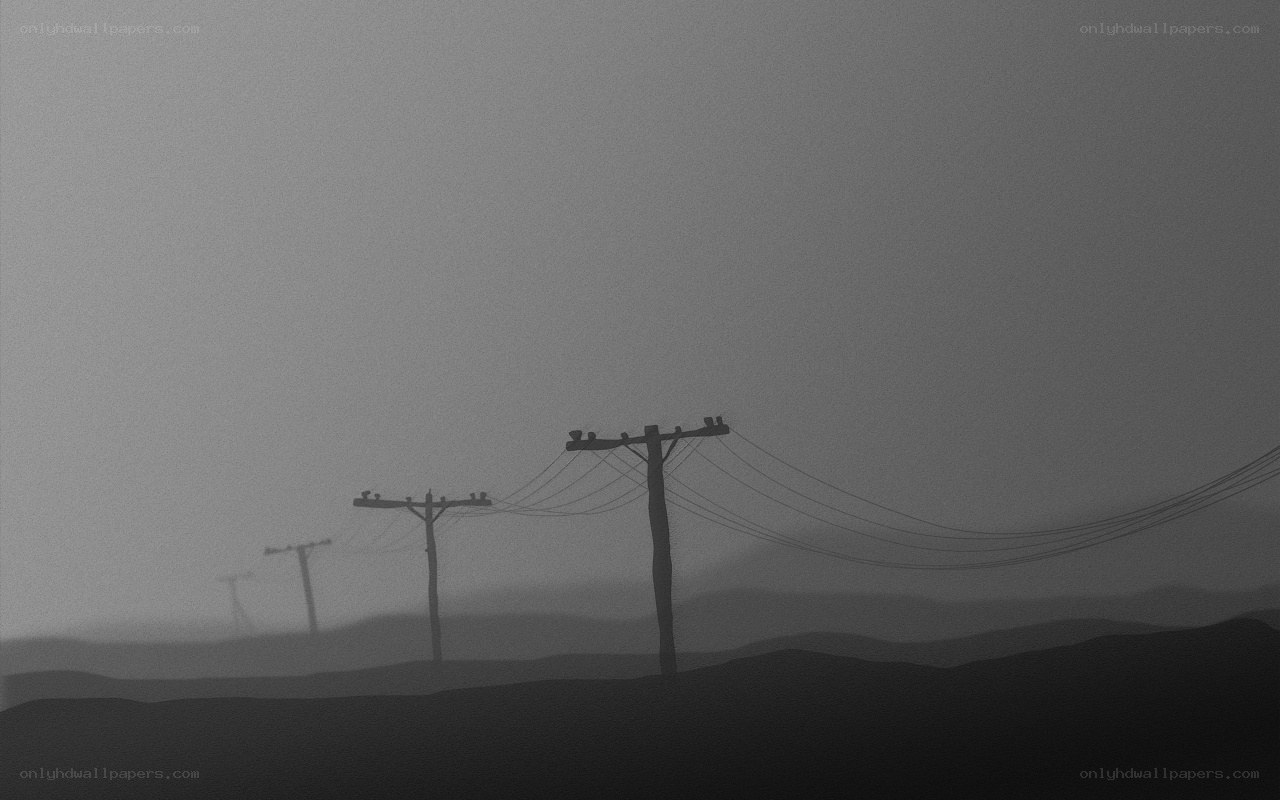 Foggy power lines landscape