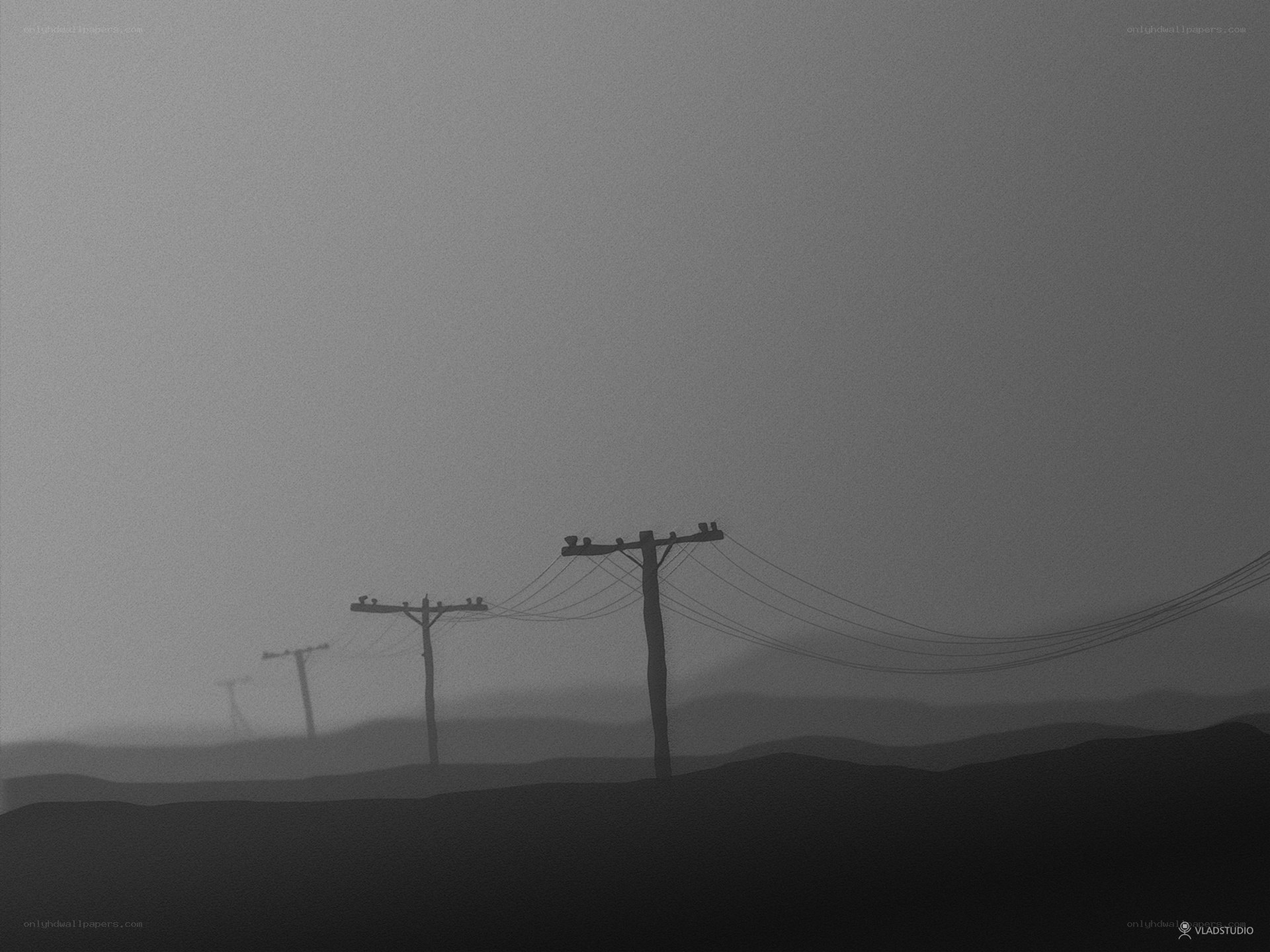 Foggy power lines landscape