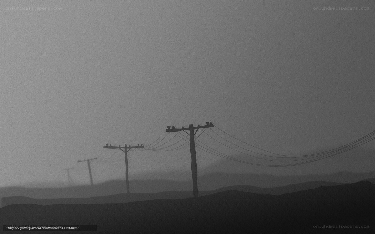 Foggy power lines landscape