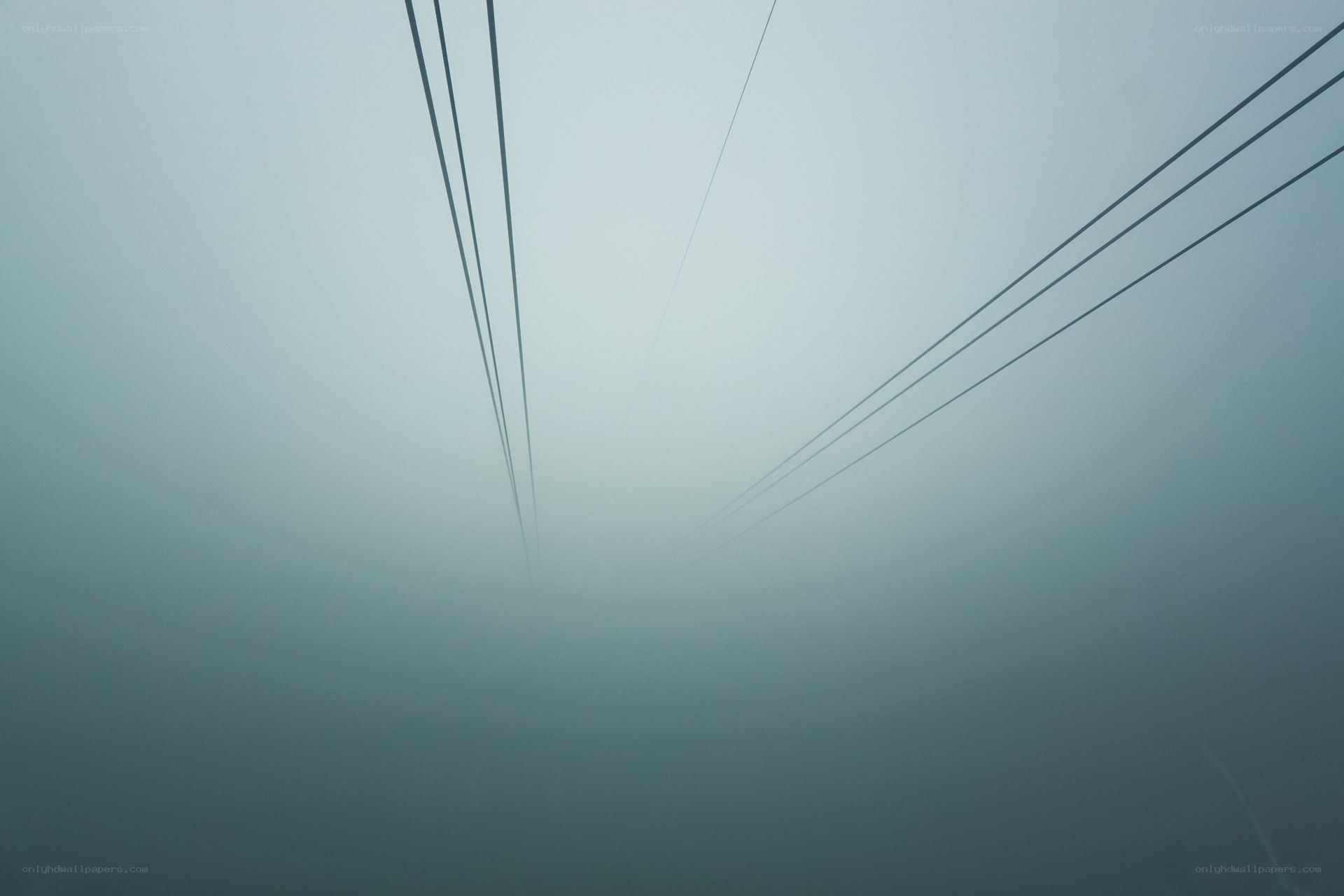 Foggy power lines