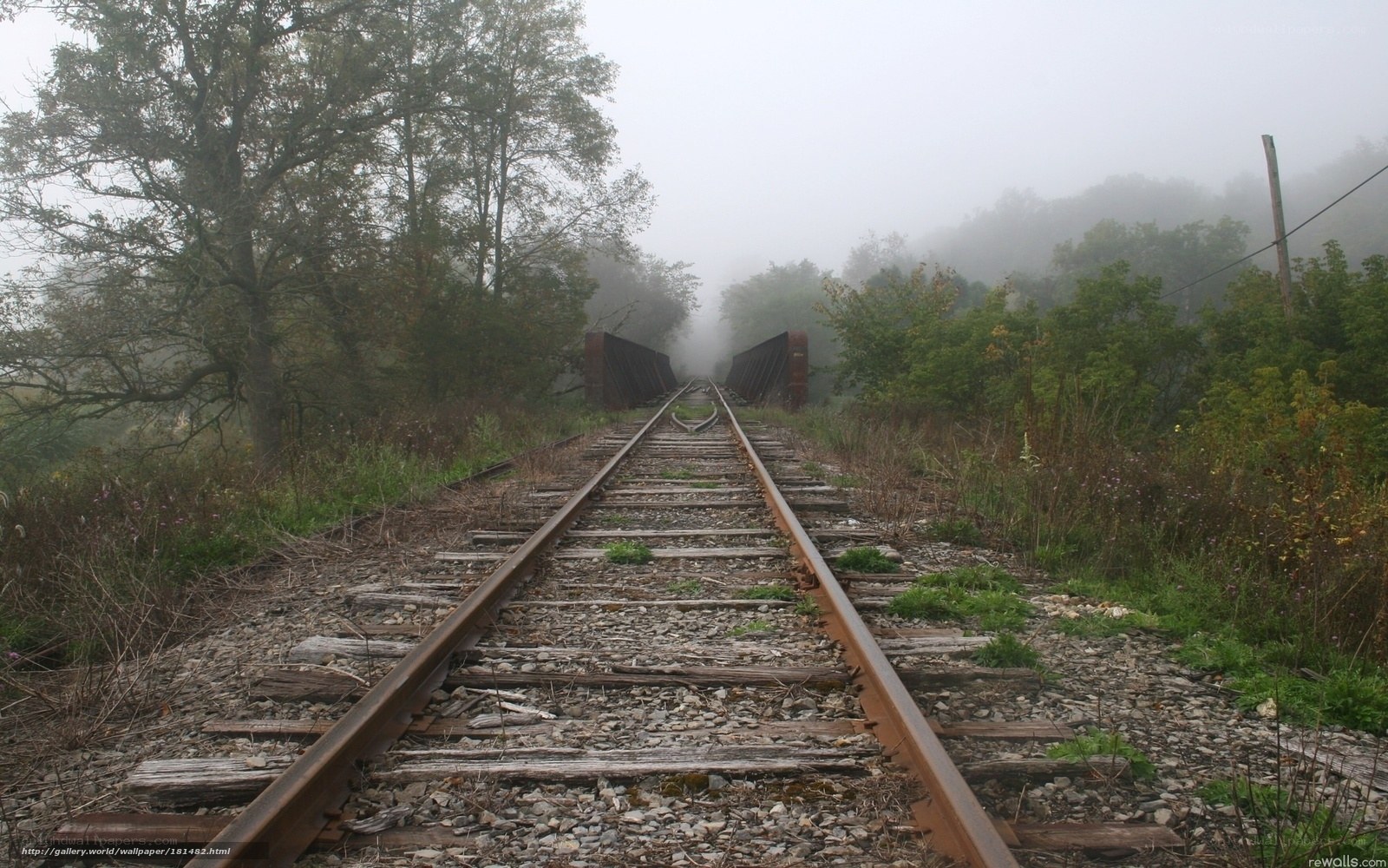 foggy railway tracks