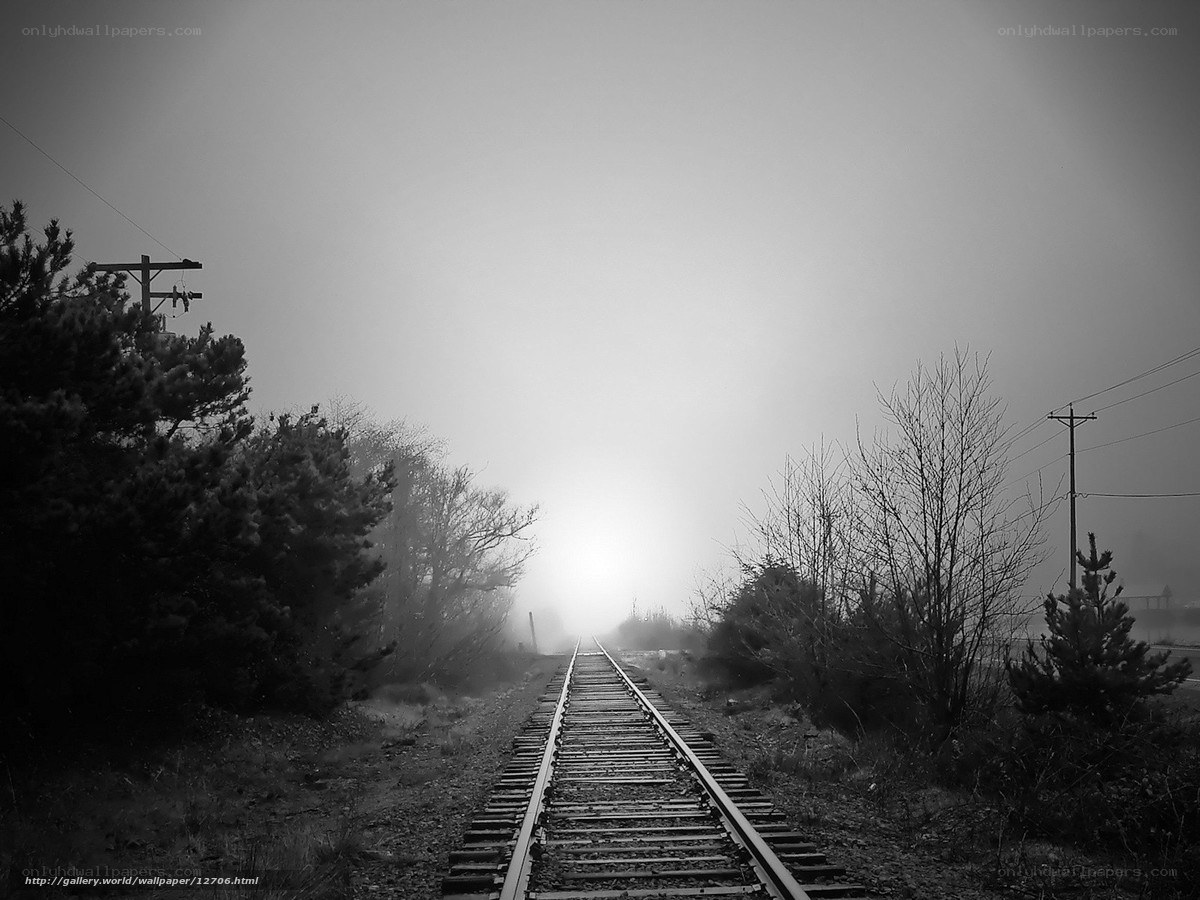 foggy railway tracks