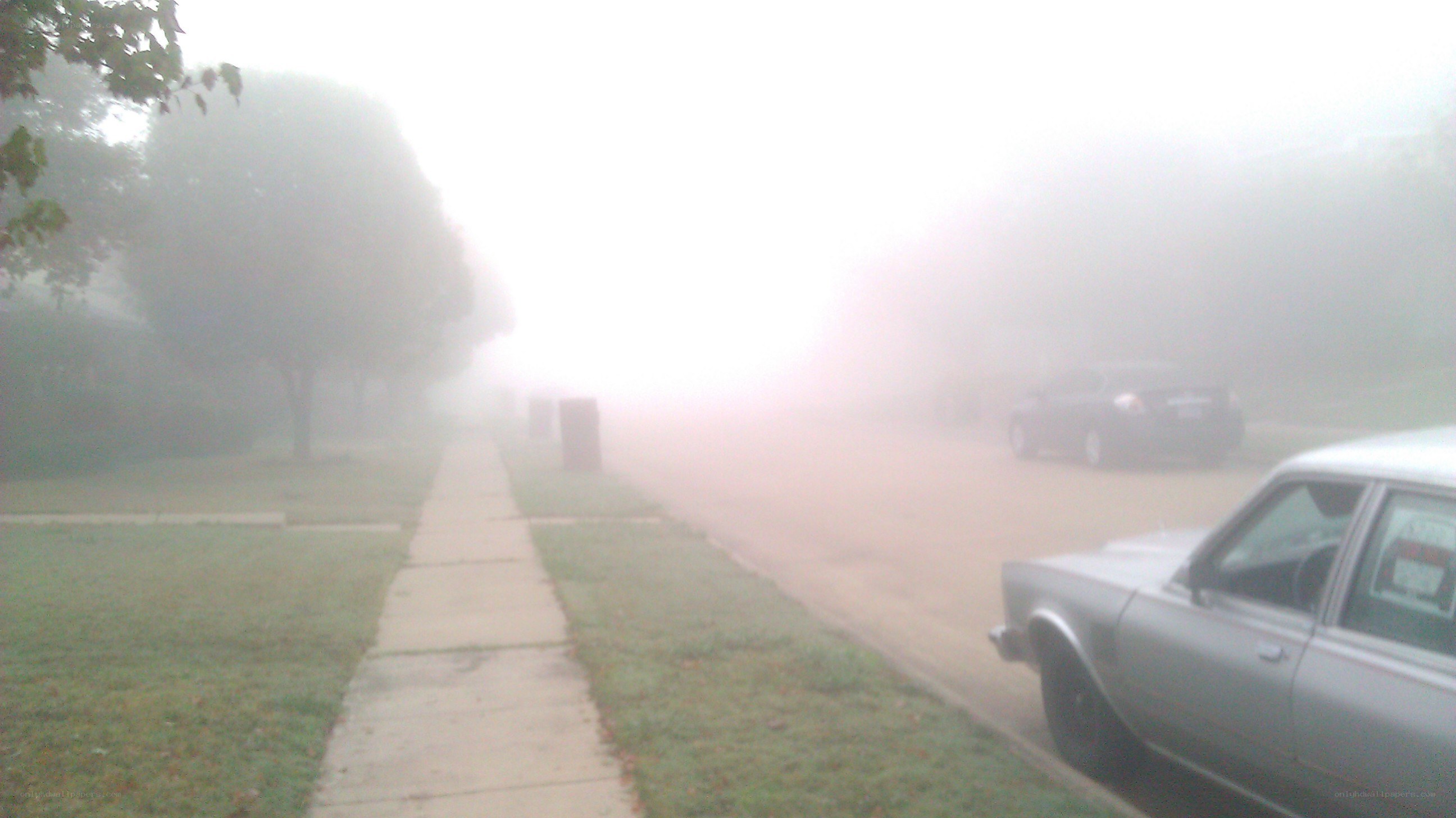 Foggy residential street