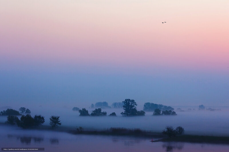 Foggy River at Dawn