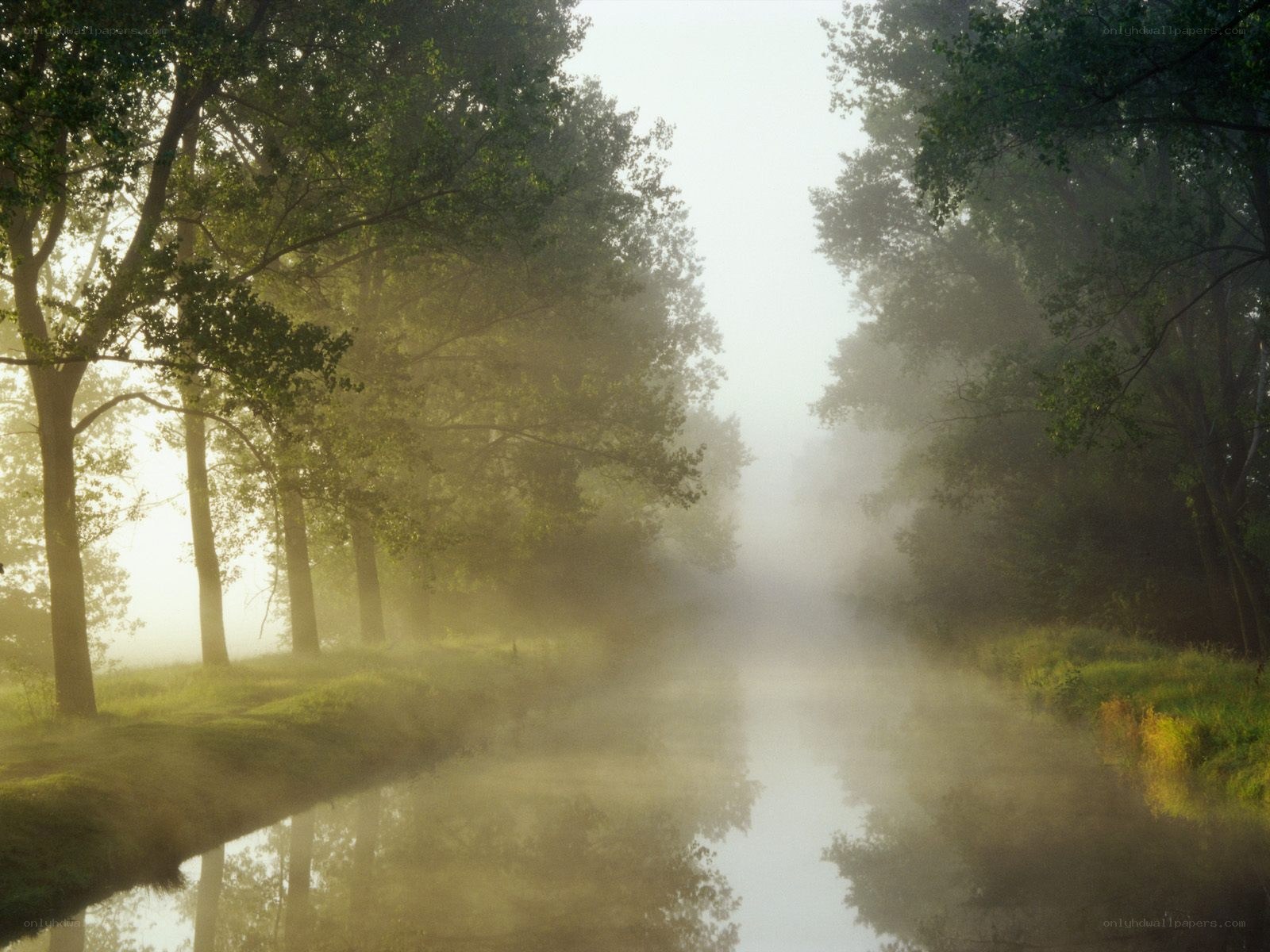 Foggy river at dawn