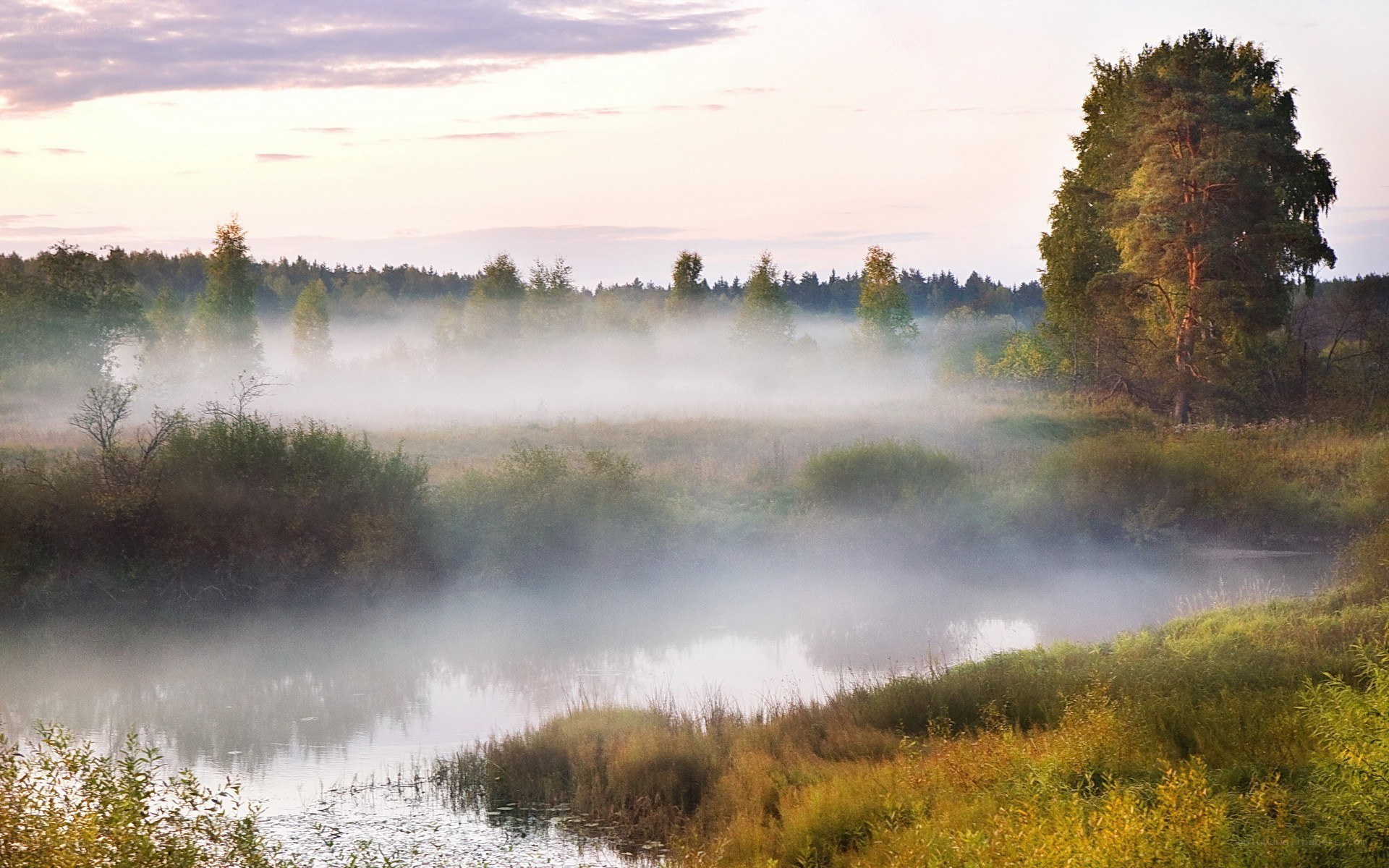 Foggy river at dawn