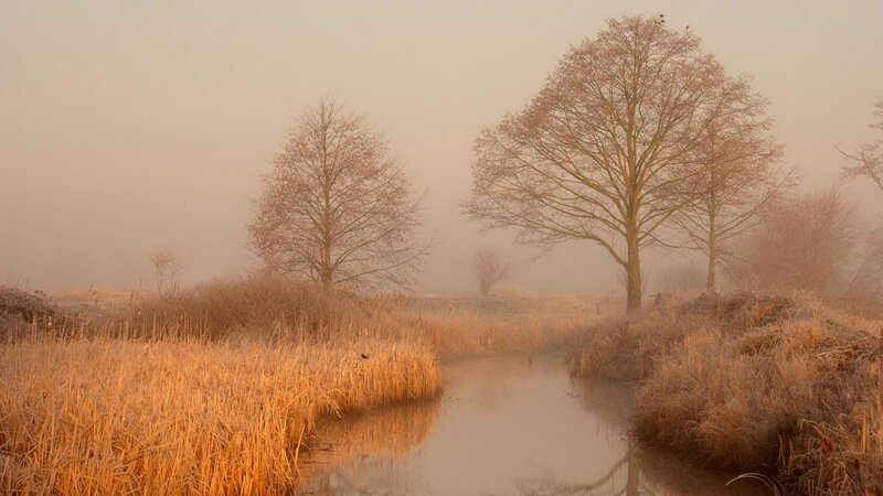 Foggy river at dawn