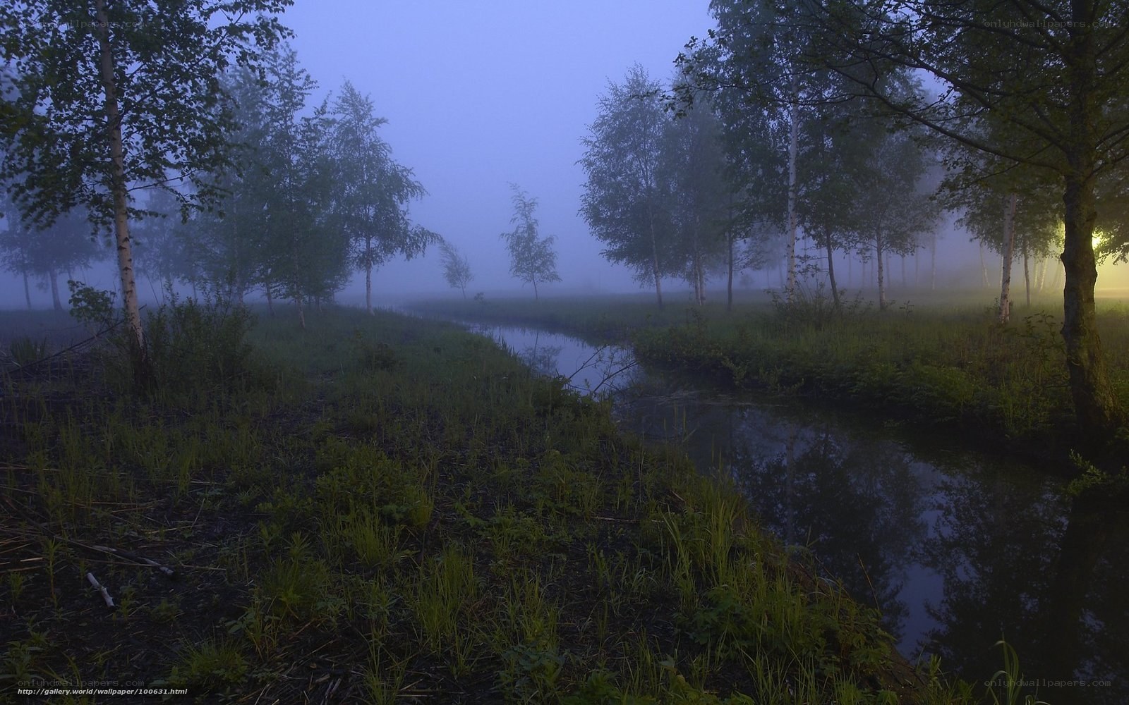 Foggy river at dawn