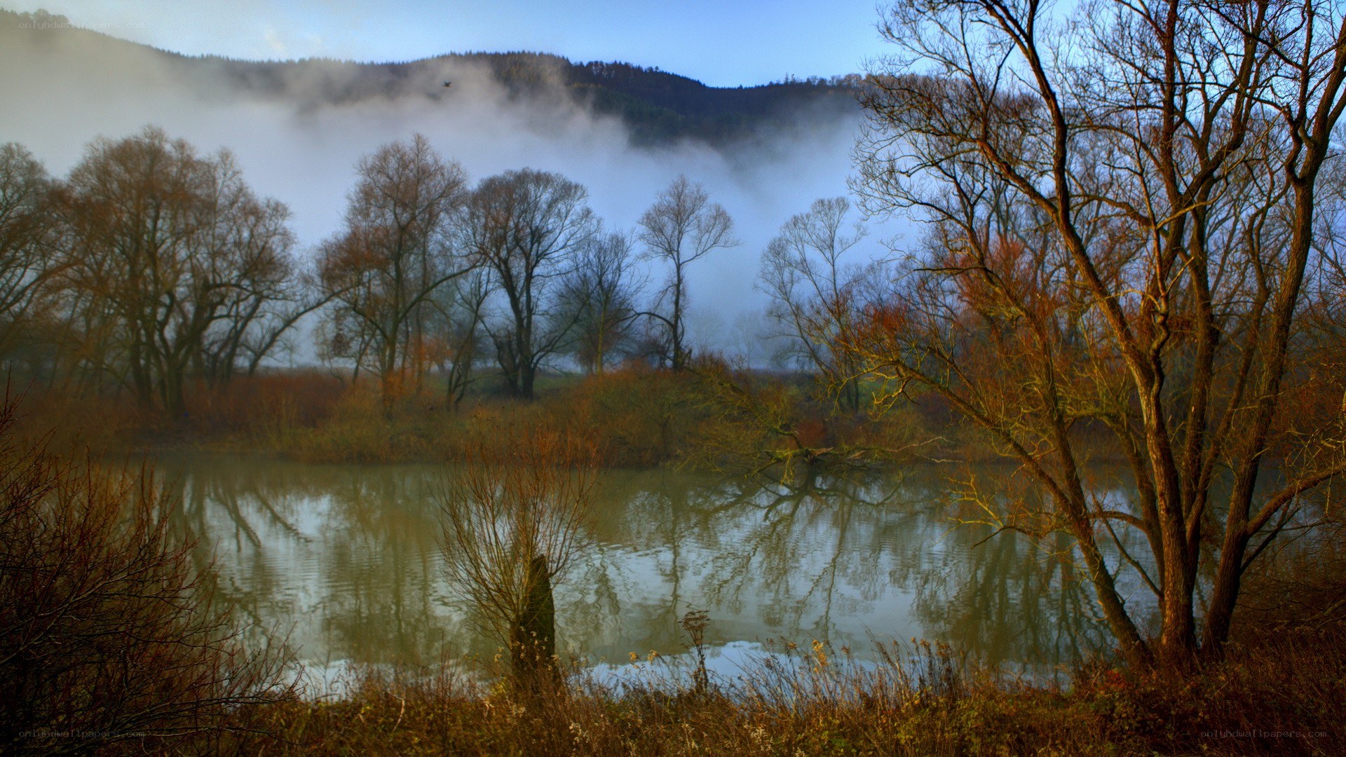 Foggy river at dawn