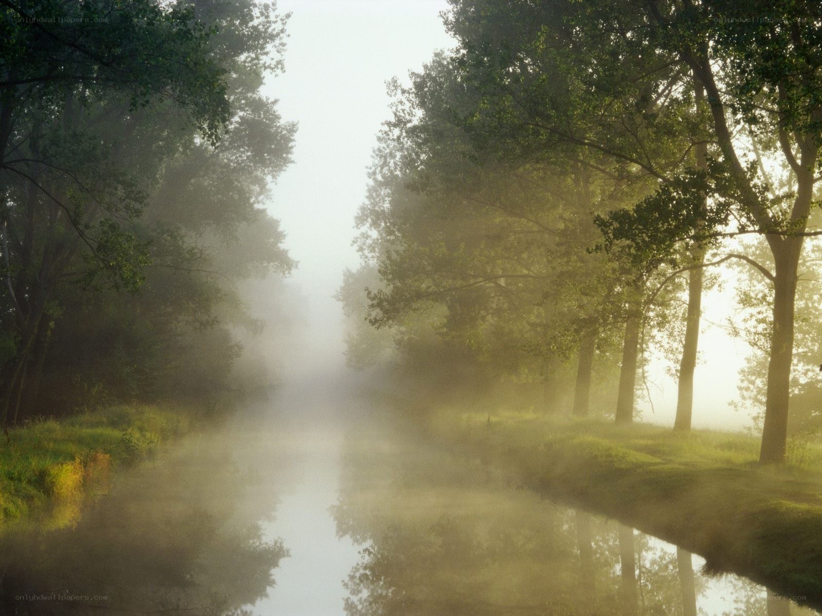 Foggy river at dawn