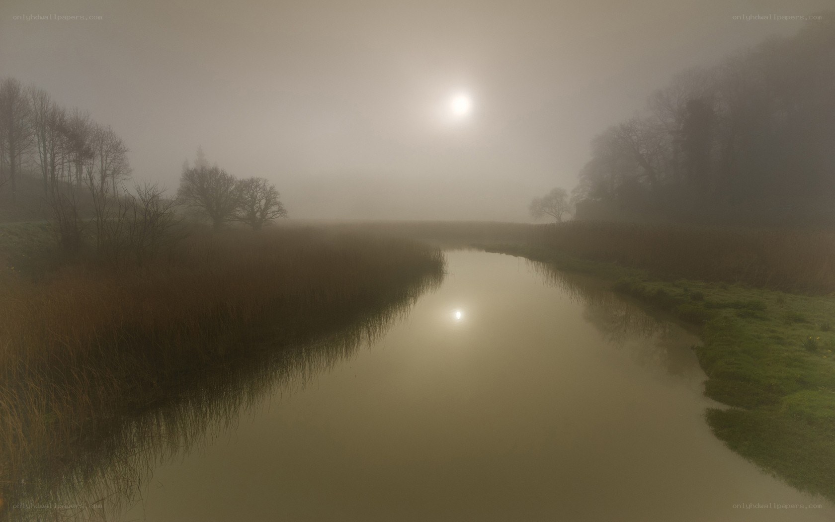 Foggy river at dawn