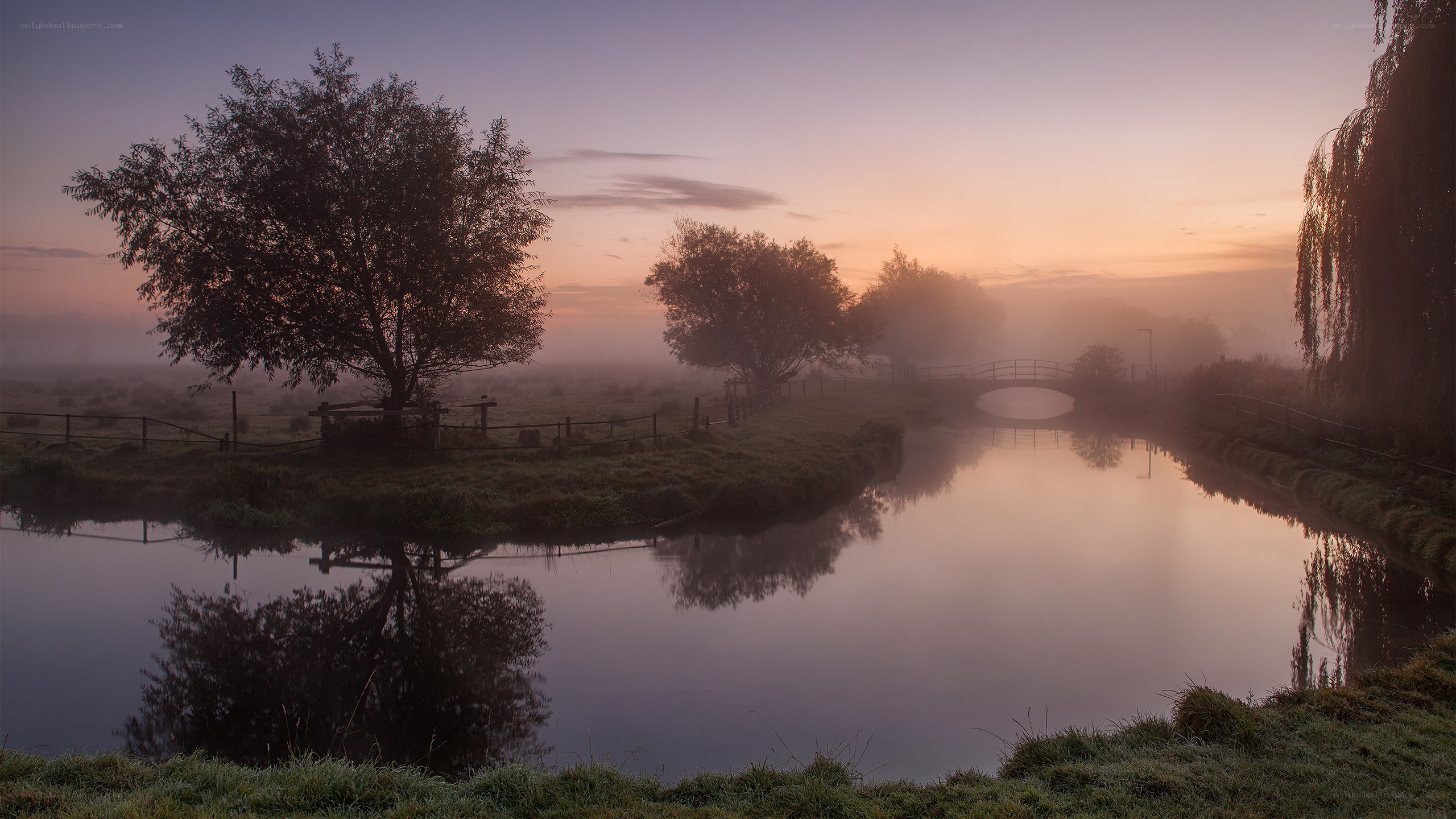 Foggy river at dawn