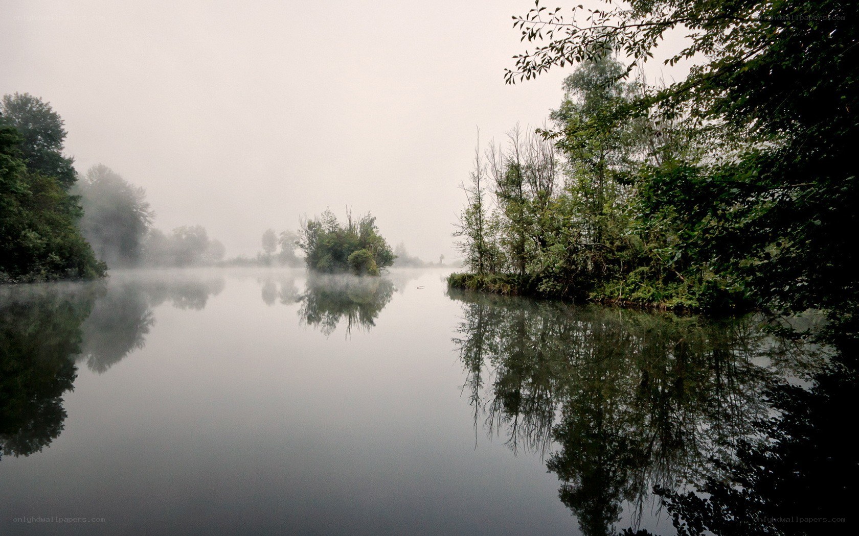 Foggy river at dawn