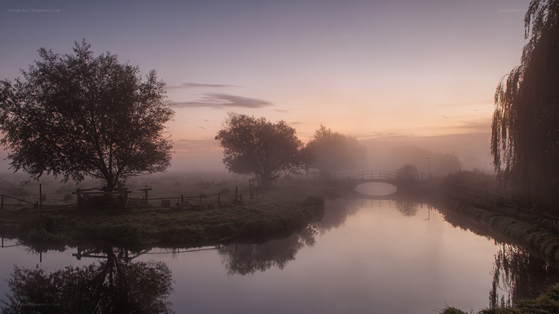 Foggy river at dawn