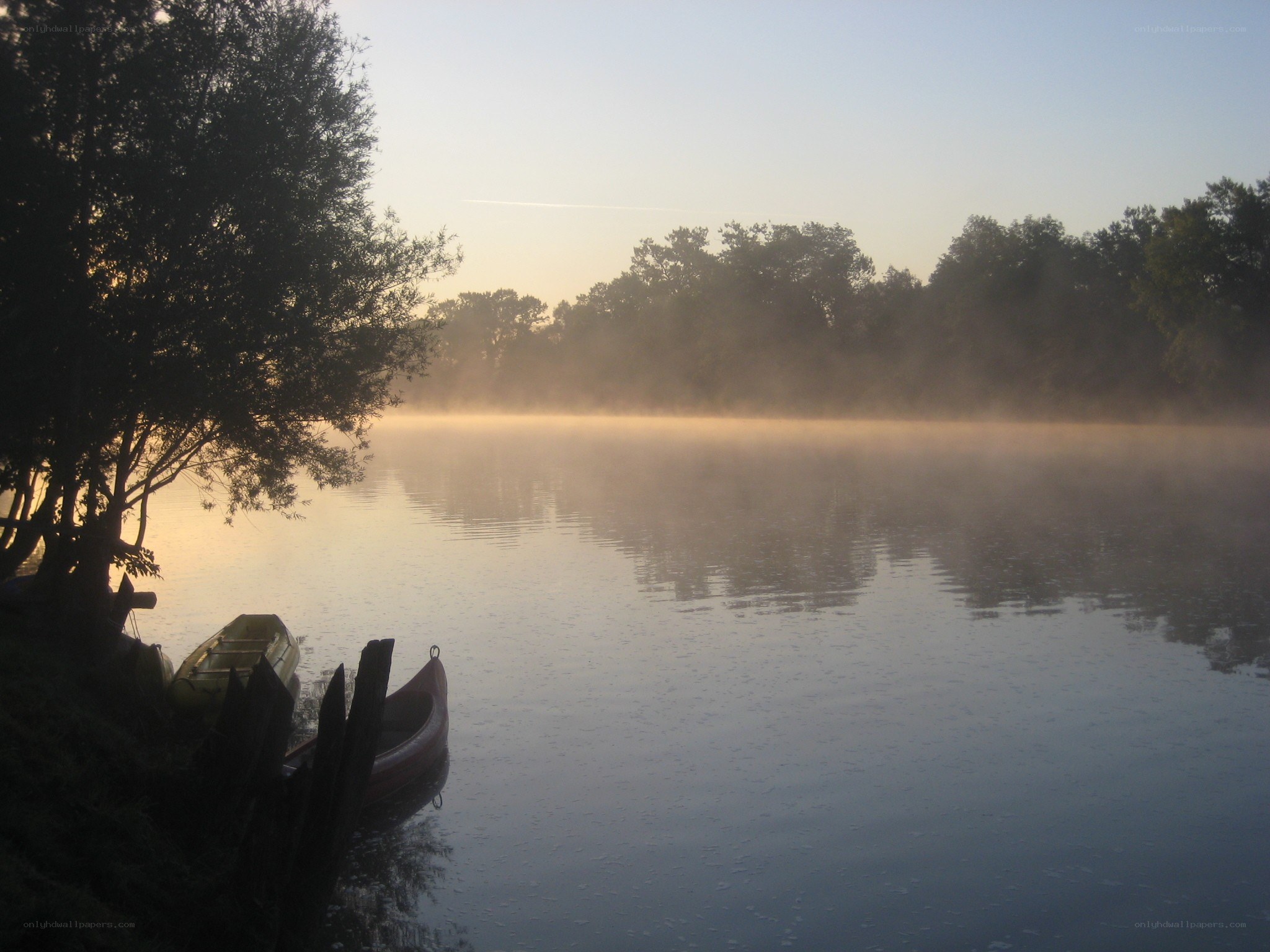 Foggy river at dawn