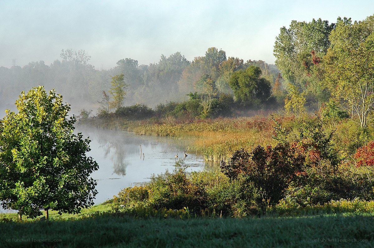 Foggy river at dawn