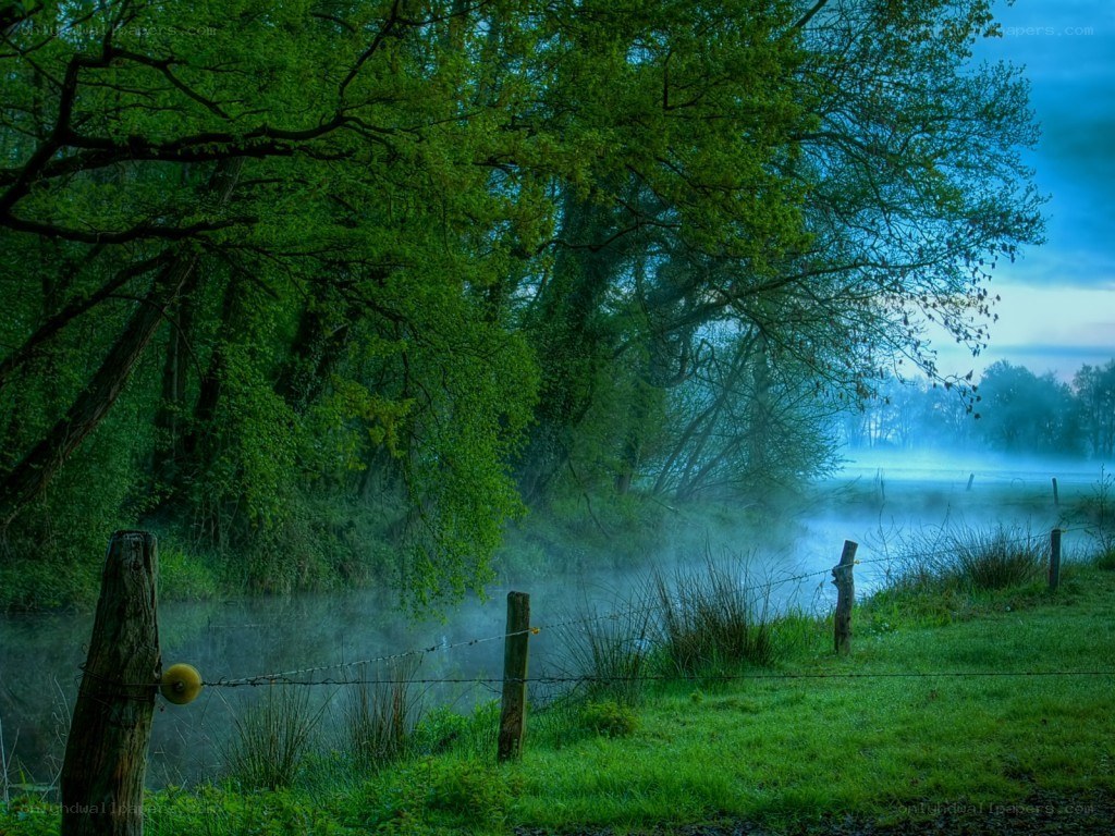 Foggy river at dawn
