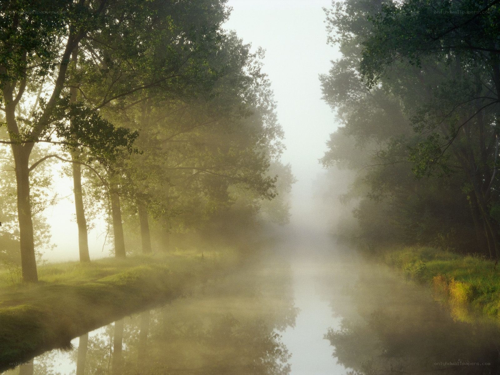 Foggy river at dawn