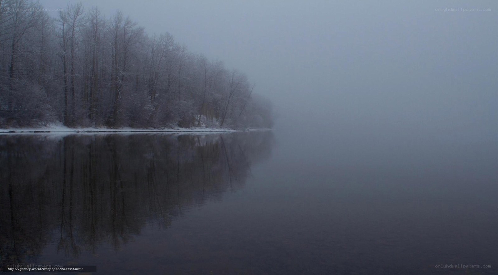 Foggy river at dawn
