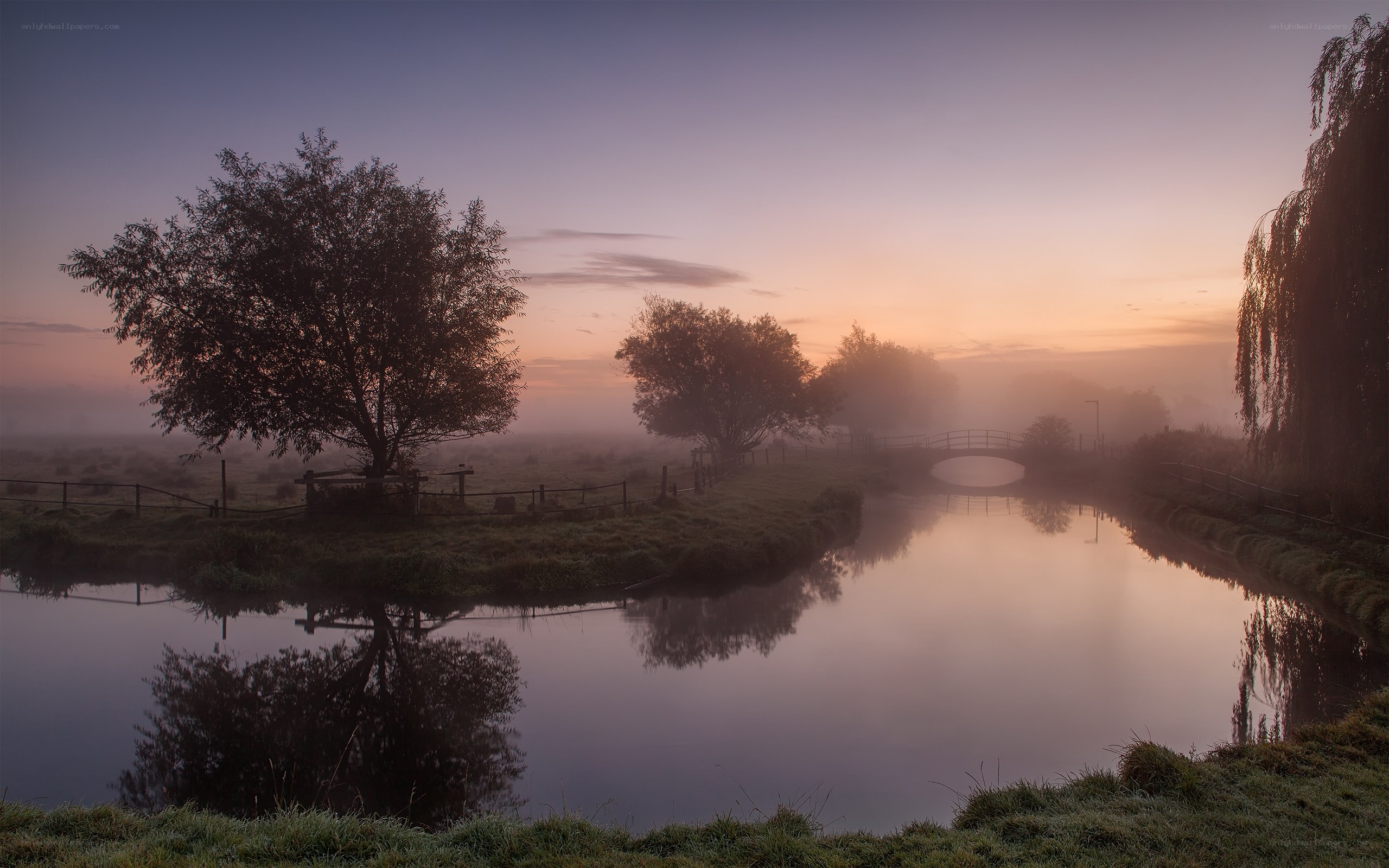 Foggy river at dawn