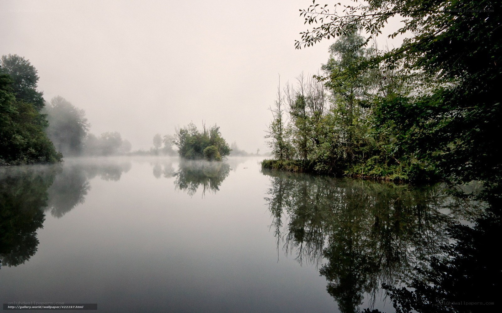 Foggy river at dawn