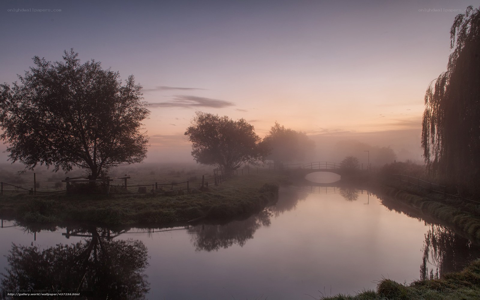 Foggy River at Dawn