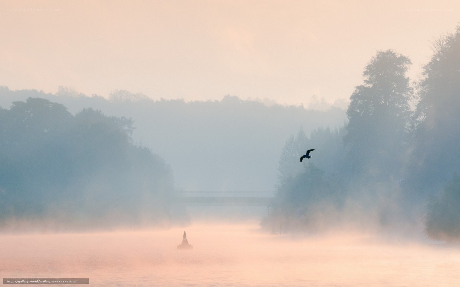 Foggy river at dawn