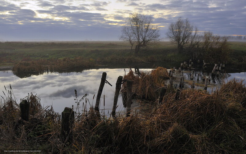 Foggy River at Dawn — Gray, Serene