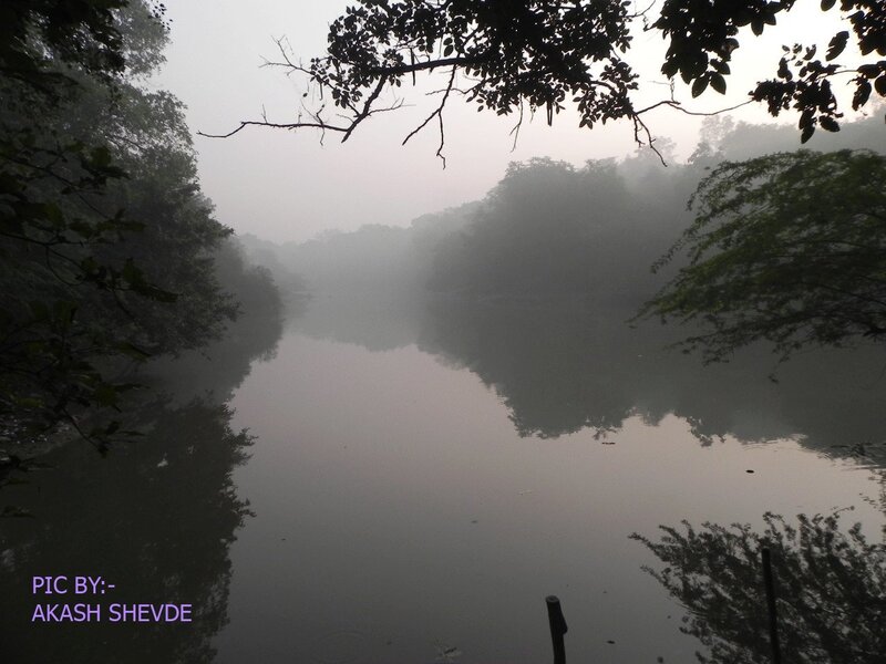 Foggy River at Dawn — Gray