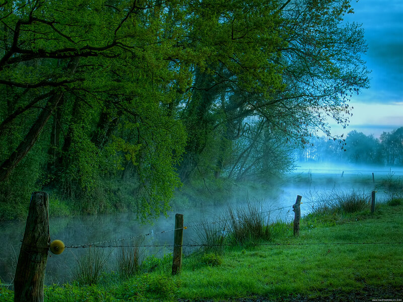 Foggy River at Dawn — Green, Serene
