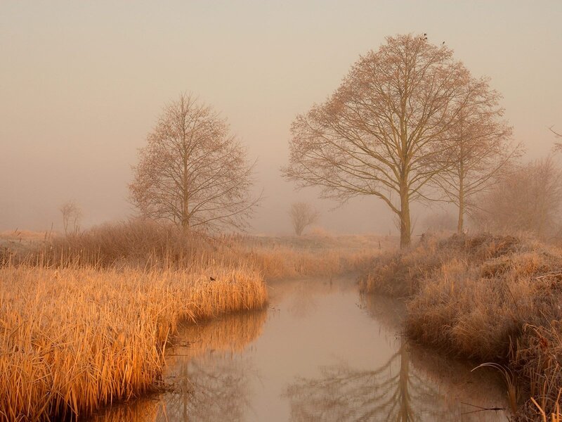 Foggy River at Dawn — Orange